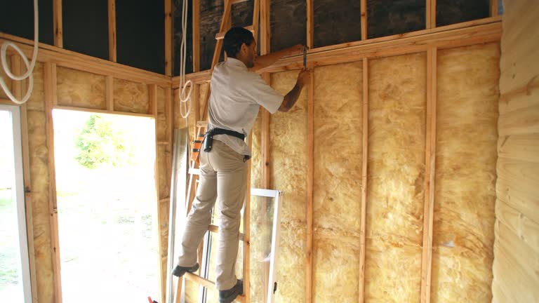 Best Insulation for New Construction  in Felton, CA